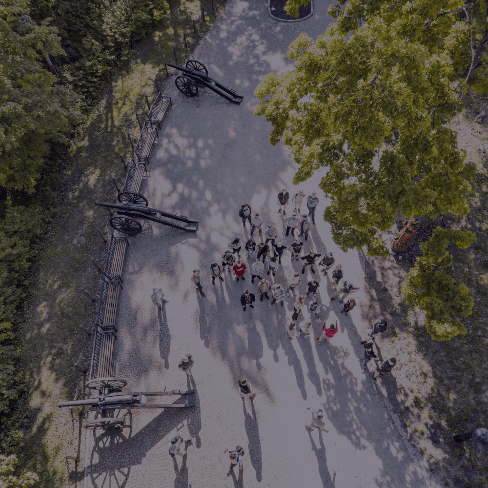 Aerial view of a group of people gathered in a park area surrounded by trees