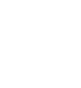 Angular icon