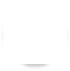 Python icon